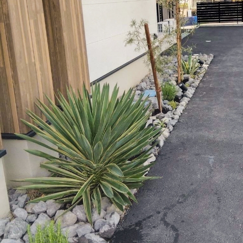 DECO GARDEN（株式会社上六左官） 施工事例 植栽